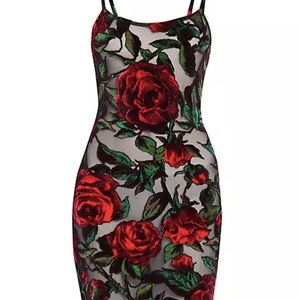 Balmain Rose-Print Semi-Sheer Minidress